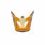 100% Status Youth Replacement Visor in Topenga Orange/Black