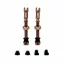 Tubeless Valves