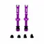 Tubeless Valves