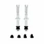 Tubeless Valves